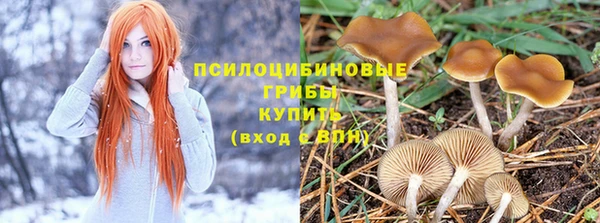 винт Арсеньев