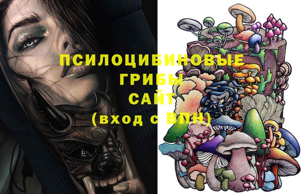 сатива Аркадак