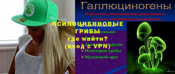 сатива Аркадак