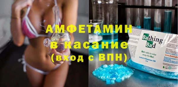 сатива Аркадак