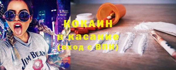 сатива Аркадак