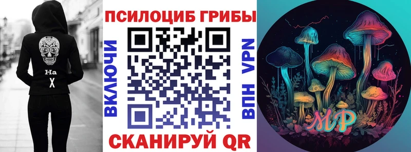 Псилоцибиновые грибы Psilocybine cubensis  Ряжск 